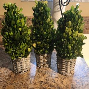 Set of 3 mini fake plants